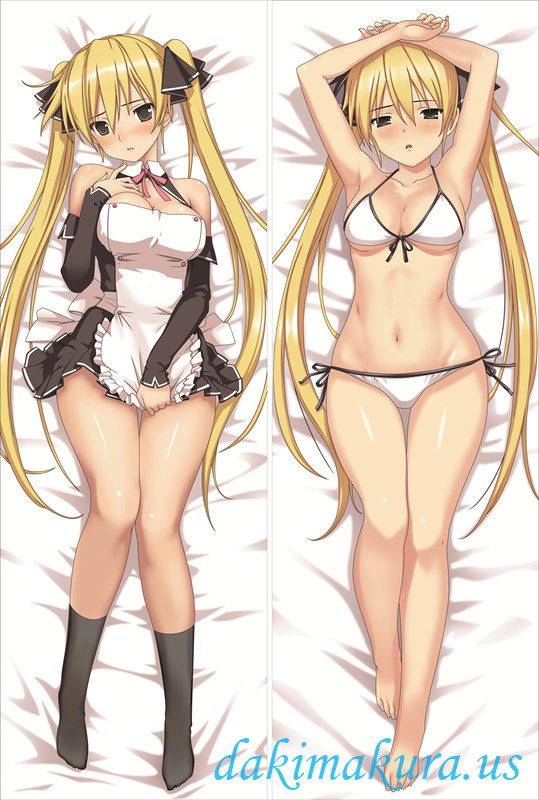 Dream Club - Mian Hugging body anime cuddle pillowcovers